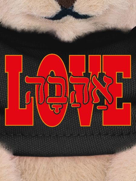 Love in Hebrew