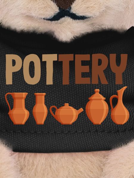 Ceramic Lovers Stylish Pottery Art