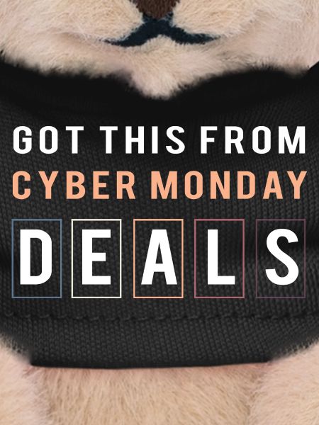 Cyber Monday shopping spree