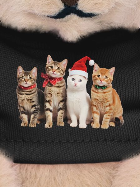 Chat à Noël