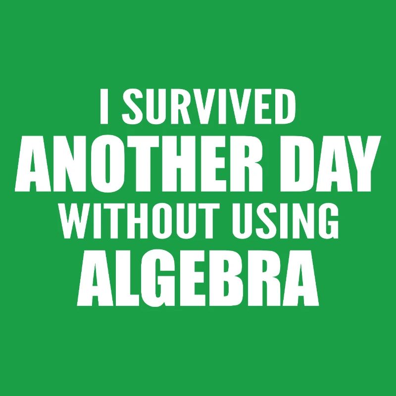I survived without doing algebra today