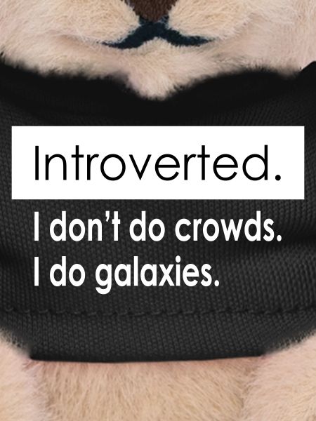 Introvert Quotes