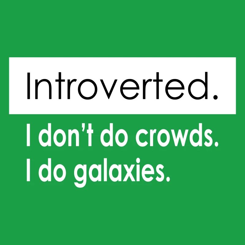 Introvert Quotes