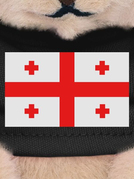 Georgian flag