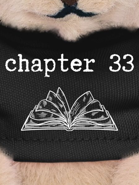 chapter 33 Birthday
