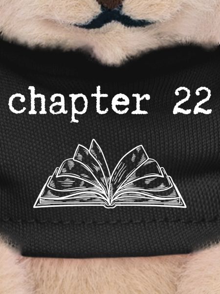 chapter 22 Birthday