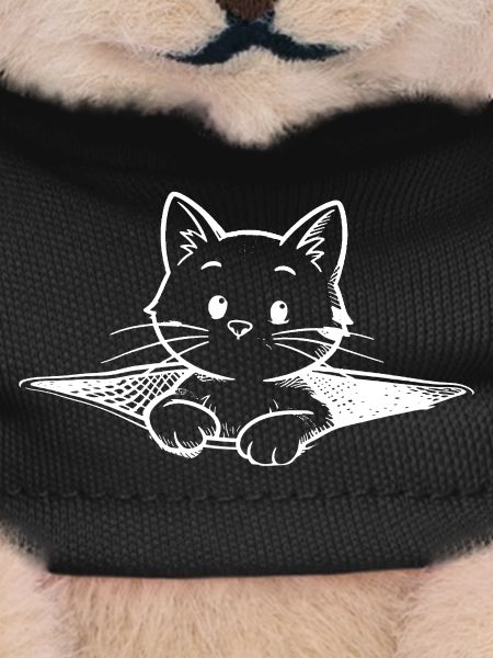 Small cat
