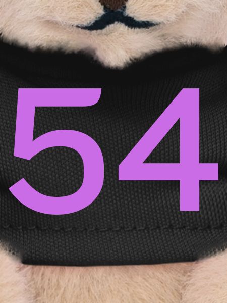 54