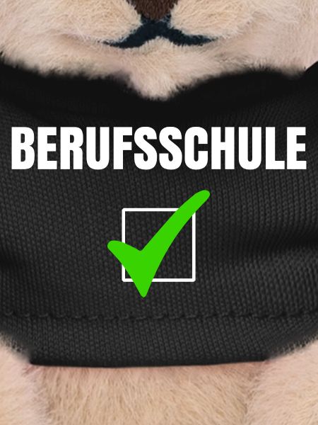 Berufsschule Abschluss