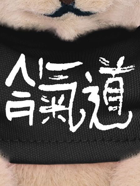 Aikido kanji