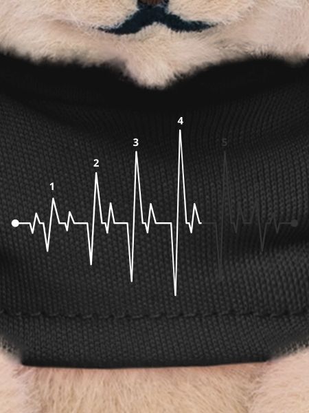 Pulse Wave Heartbeat Graphic