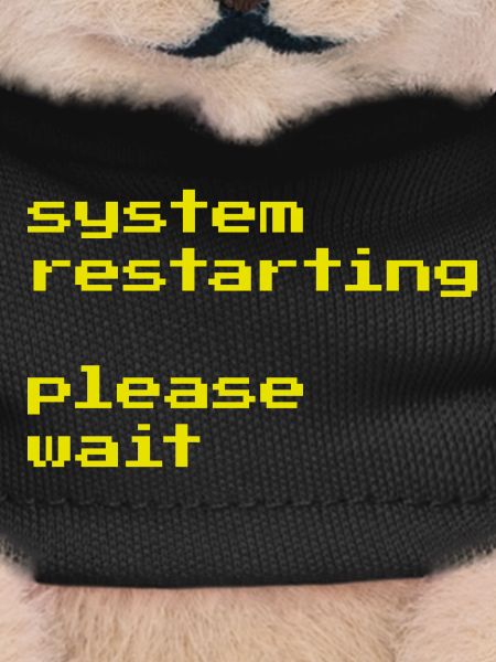 System restarting