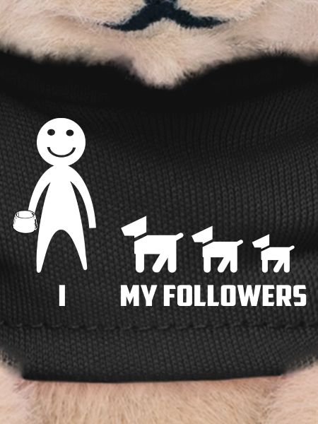 Funny Dog Followers
