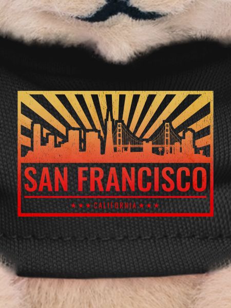 San Francisco Skyline Gradient