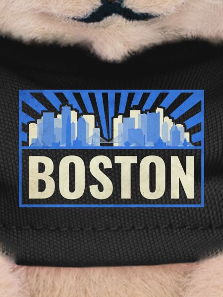 Boston USA