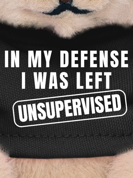 Left Unsupervised Defense Funny