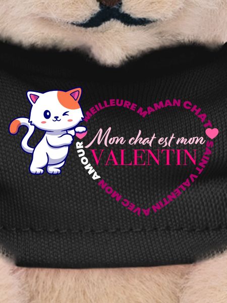 Chat Valentin Coeur