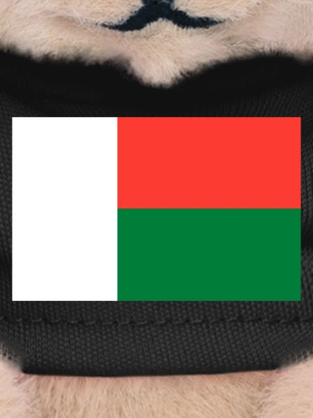 Madagascar flag