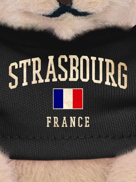 Strasbourg - France flag