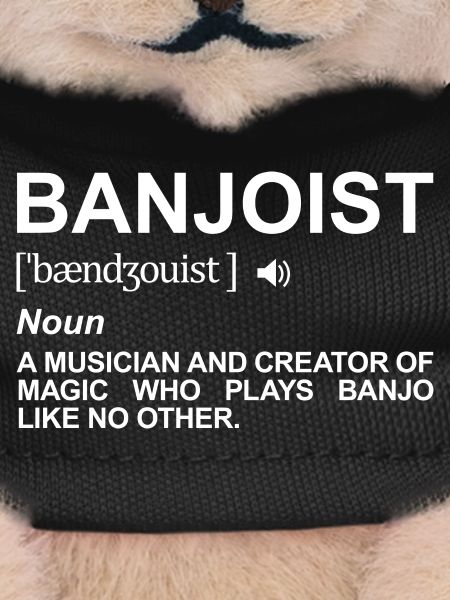 Banjo player definition