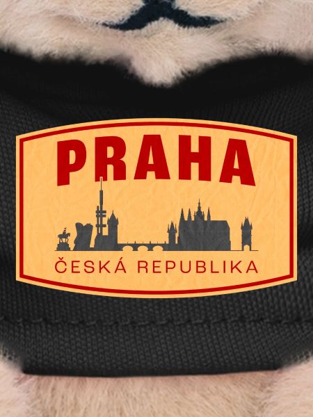 Praha Skyline & ČR Emblem