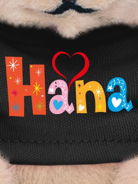 Personalized Hana Name