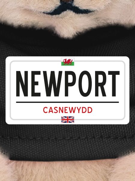 Newport town sign