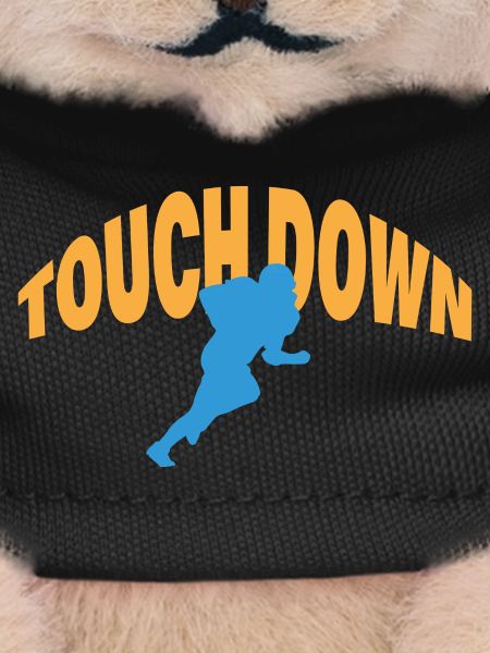 TOUCH DOWN