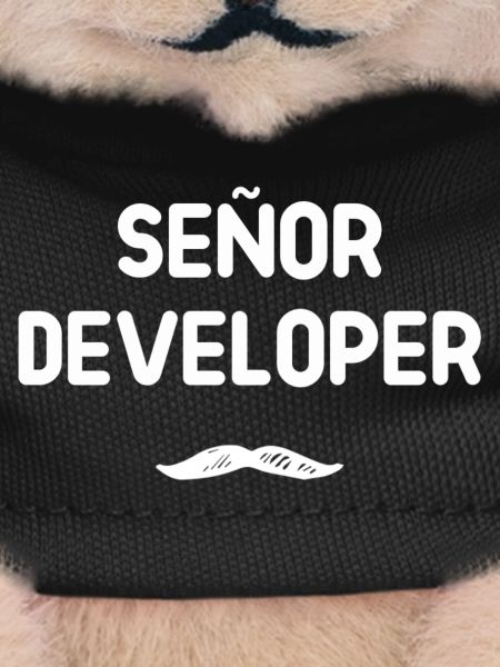 Señor Developer Humour