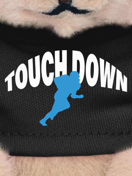 TOUCH DOWN