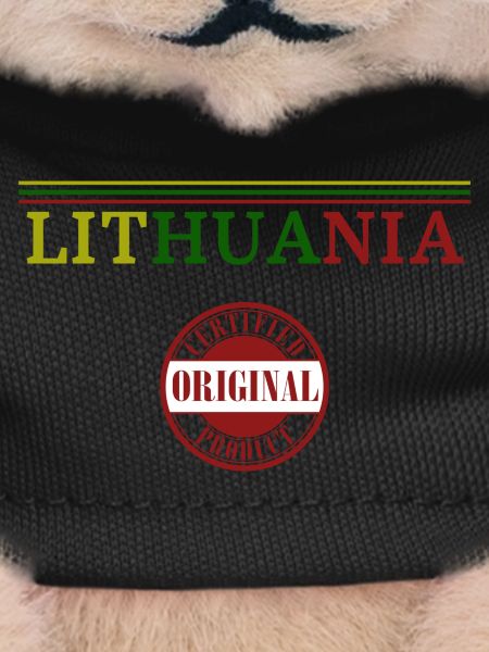 Lithuanian pride, I love Lithuania