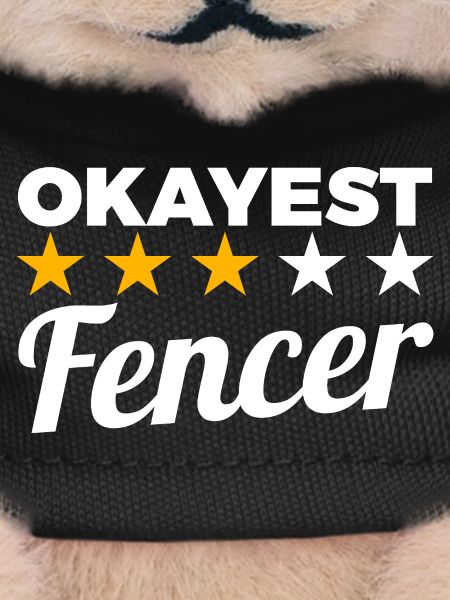 Best Fencer
