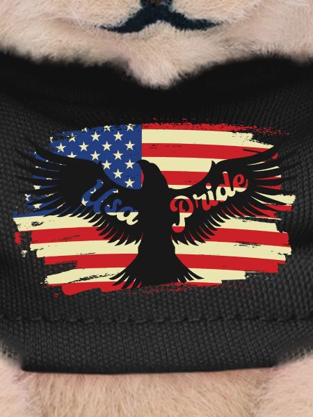 American Pride Eagle on Flag