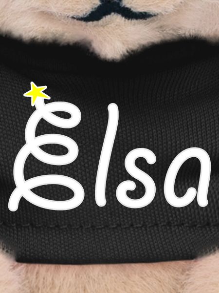 Elsa