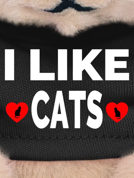 feline