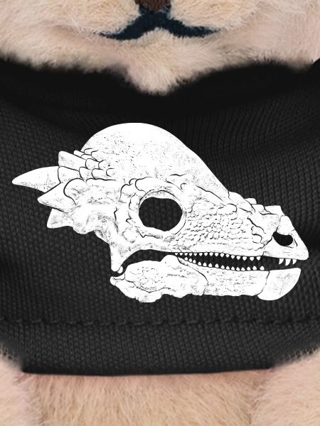 Pachycephalosaurus Fossil Skull