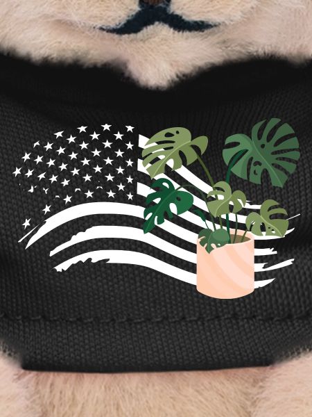 American Flag Plant Lover Plants