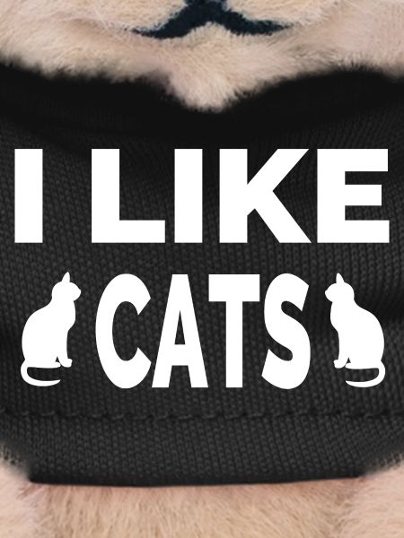 feline