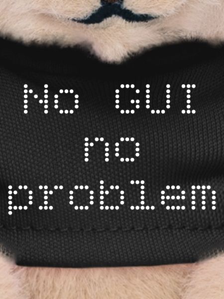 No GUI no problem