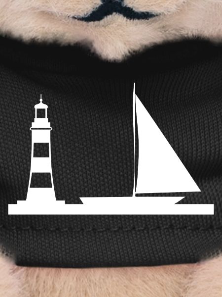 Voile