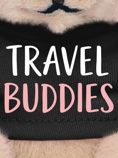 Travel Buddies