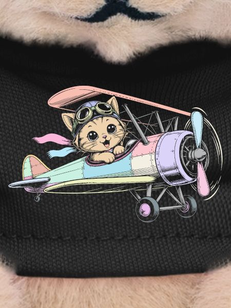 airplane