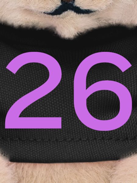 26
