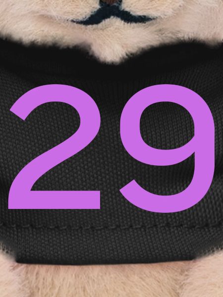 29