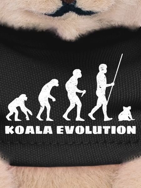 Koala Evolution