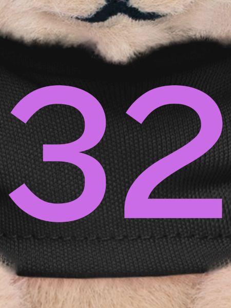 32