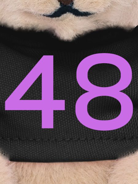 48
