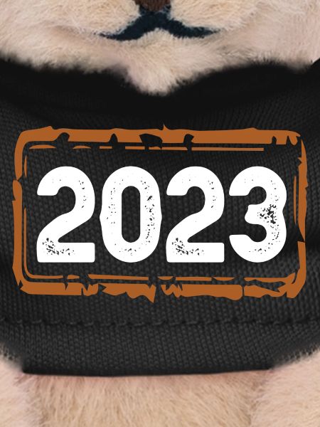 2023 year