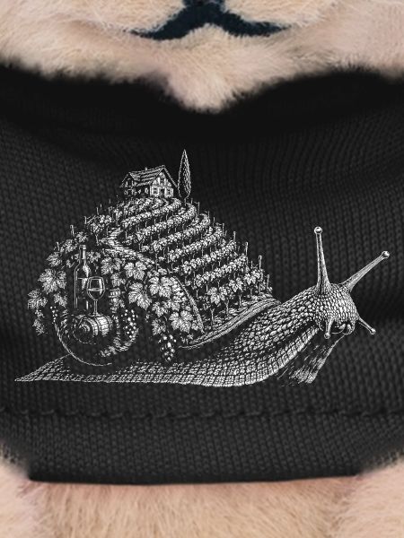 Edible snail