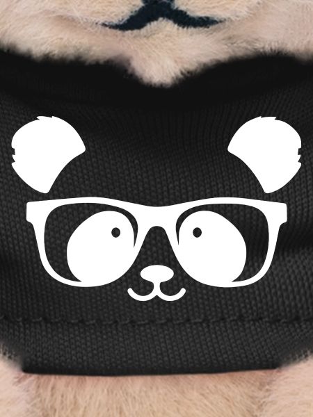 Cute panda with nerd glasses